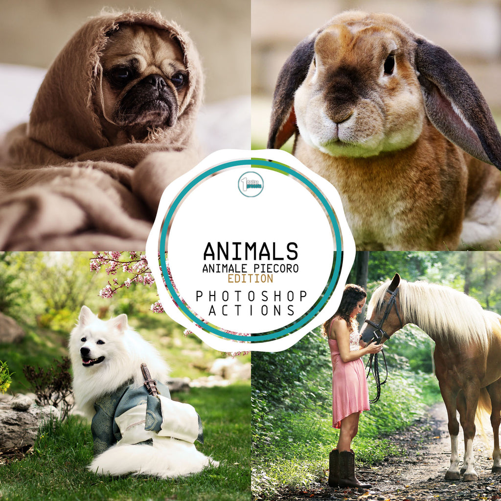 Animals - 25 Photoshop Actions