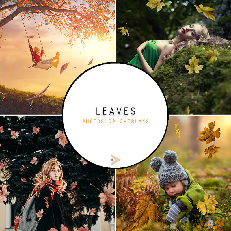 Leaves - Overlays